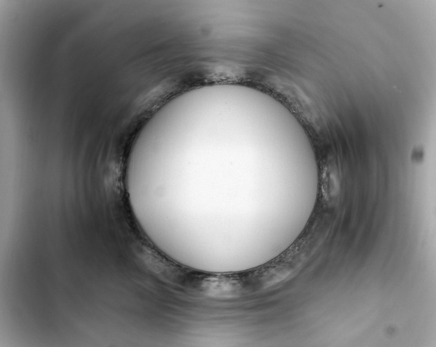 X0000102370714200808151835