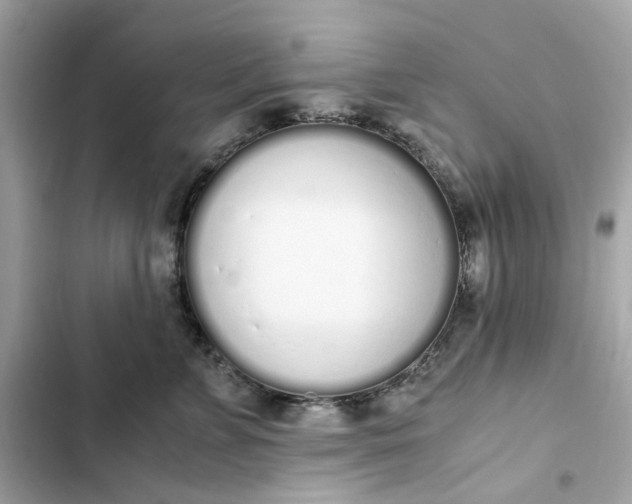 X0000102370715200808151835