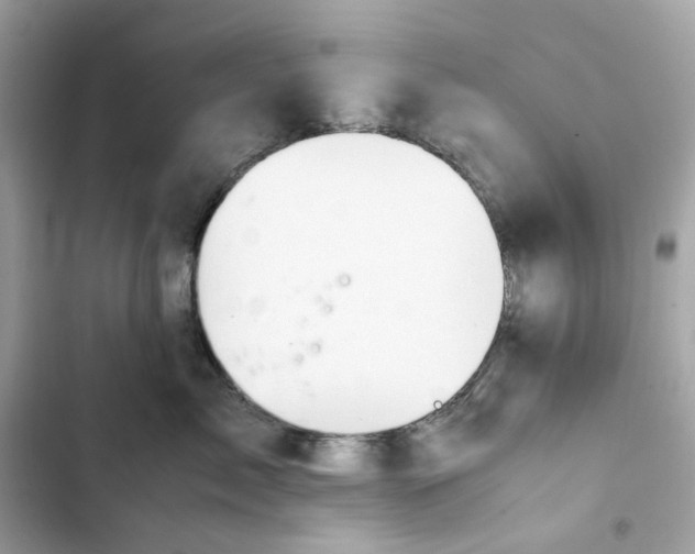 X0000102370717200808151835