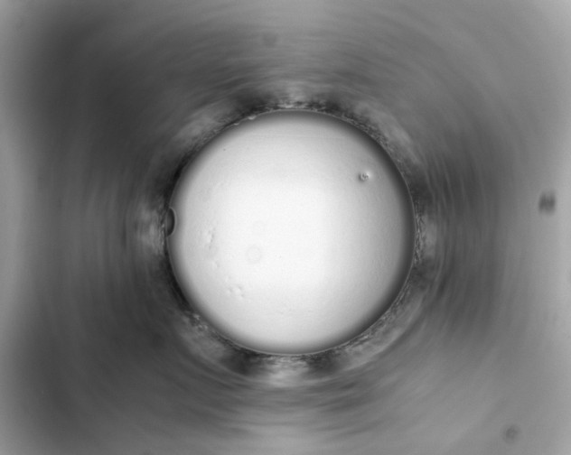 X0000102370719200808151835