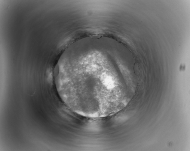 X0000102370720200808151835