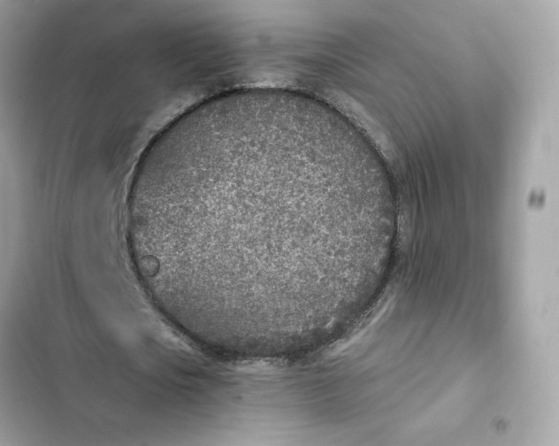 X0000102370721200808151834