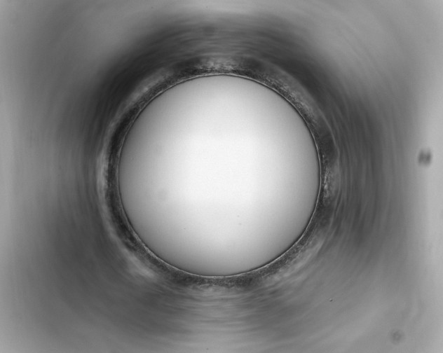 X0000102370722200808151834