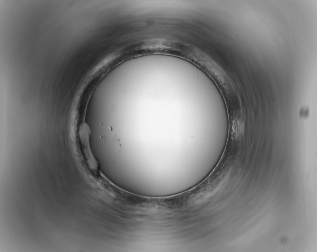 X0000102370724200808151834