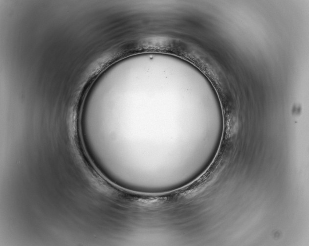 X0000102370725200808151834