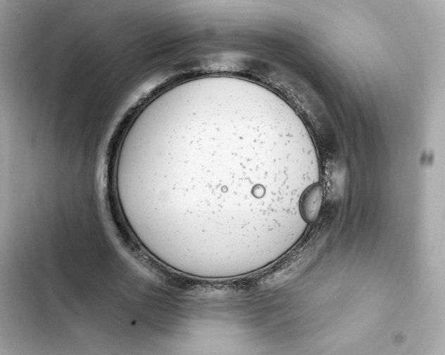 X0000102370726200808151834