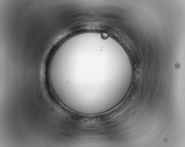 X0000102370727200808151834