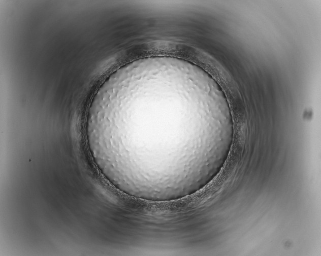 X0000102370729200808151834