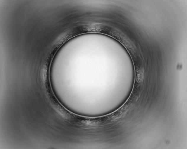 X0000102370733200808151834