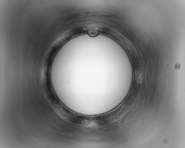 X0000102370735200808151834