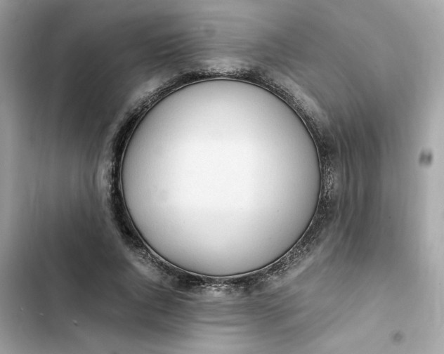 X0000102370736200808151834