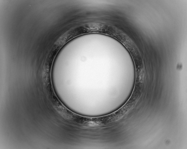 X0000102370737200808151834