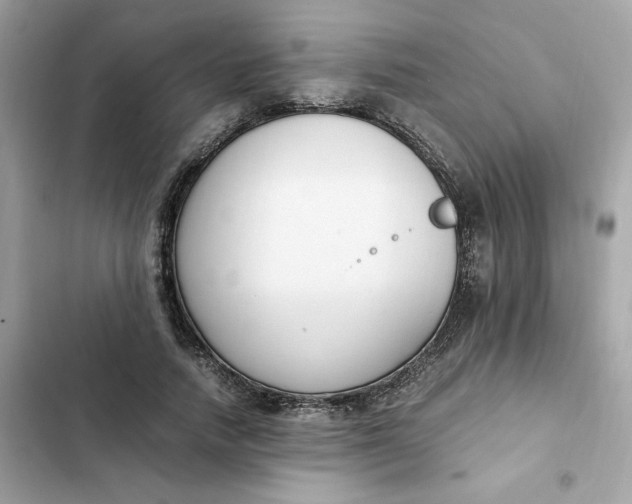 X0000102370738200808151834