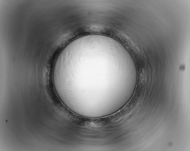 X0000102370739200808151834