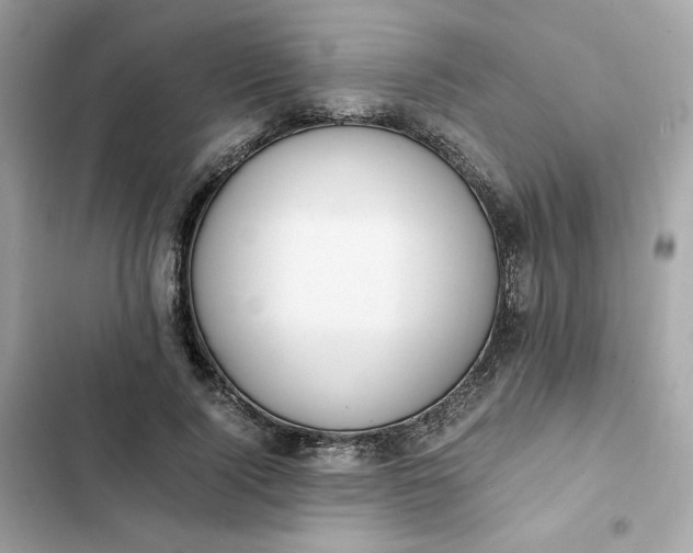 X0000102370740200808151834