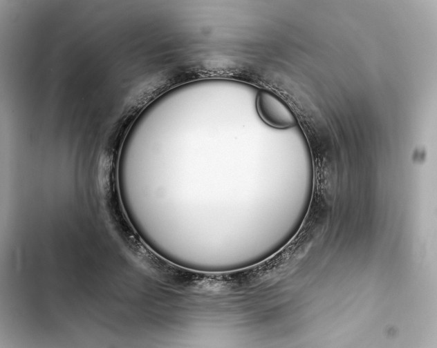 X0000102370742200808151834