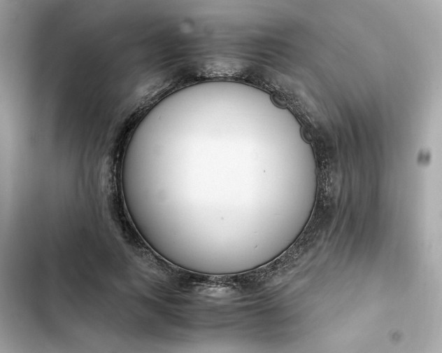 X0000102370743200808151835