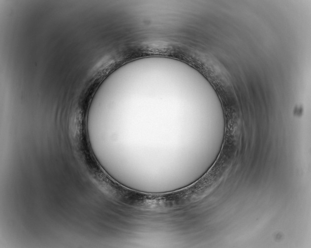 X0000102370744200808151835