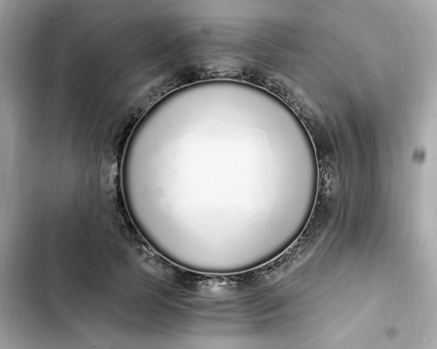 X0000102370745200808151835