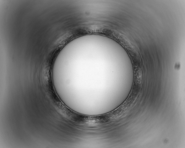 X0000102370746200808151835