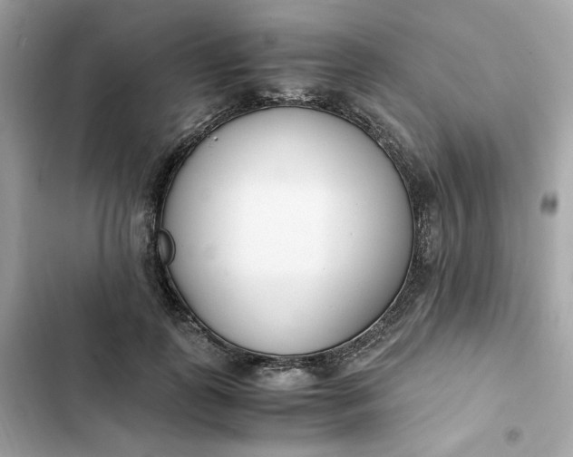 X0000102370747200808151835