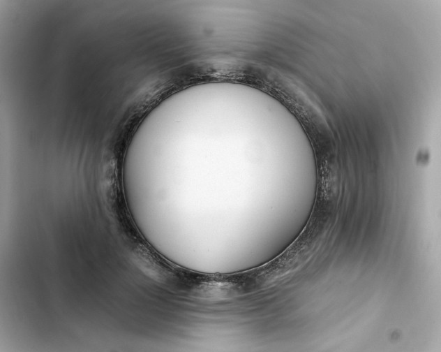 X0000102370748200808151835