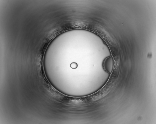 X0000102370749200808151835