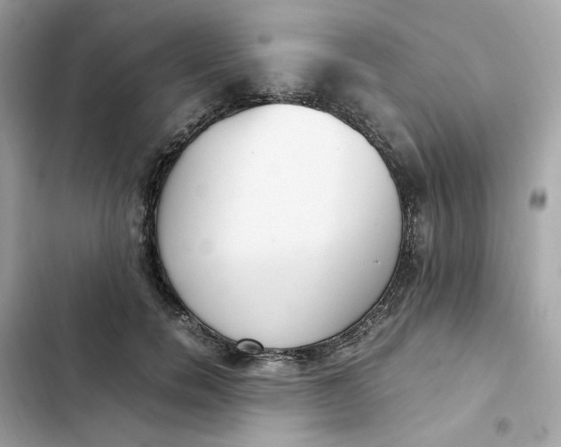 X0000102370750200808151835