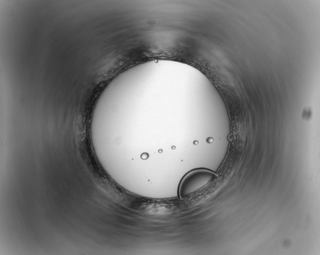 X0000102370751200808151835