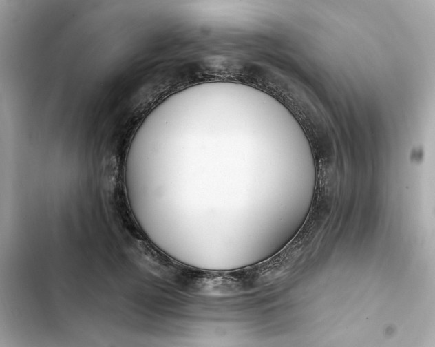 X0000102370752200808151835