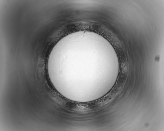 X0000102370753200808151835