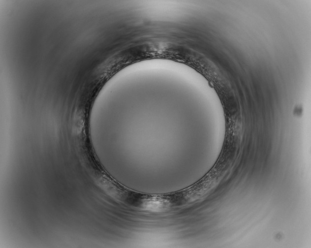 X0000102370754200808151835