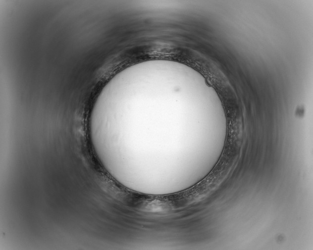 X0000102370755200808151835