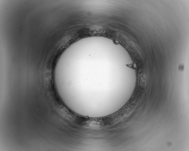 X0000102370756200808151835