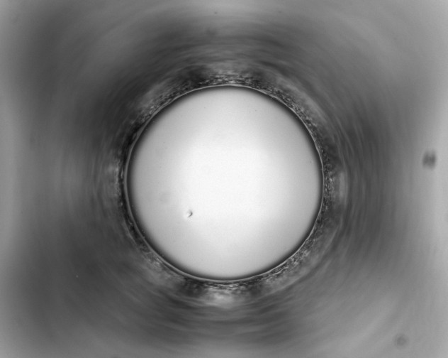 X0000102370757200808151835