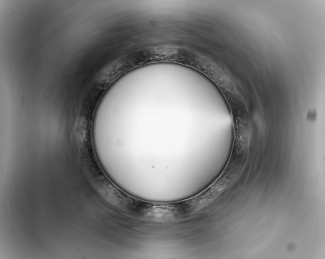 X0000102370758200808151835