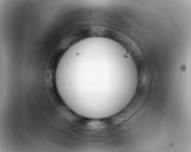 X0000102370759200808151835