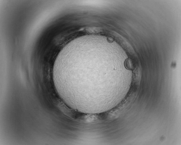 X0000102370762200808151835