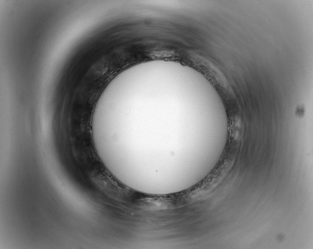 X0000102370763200808151835