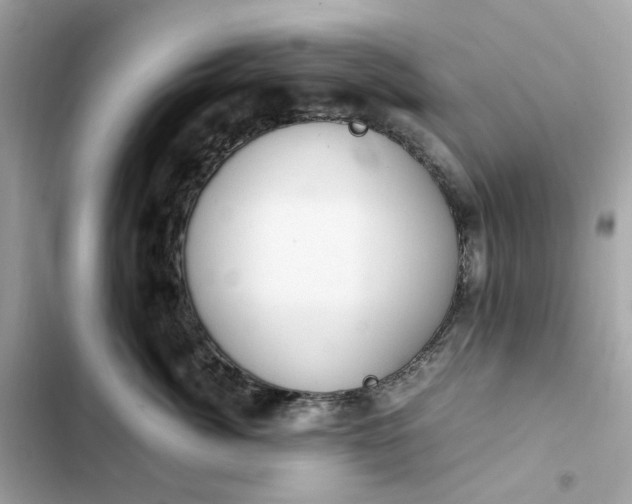 X0000102370764200808151835