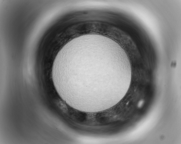 X0000102370766200808151835