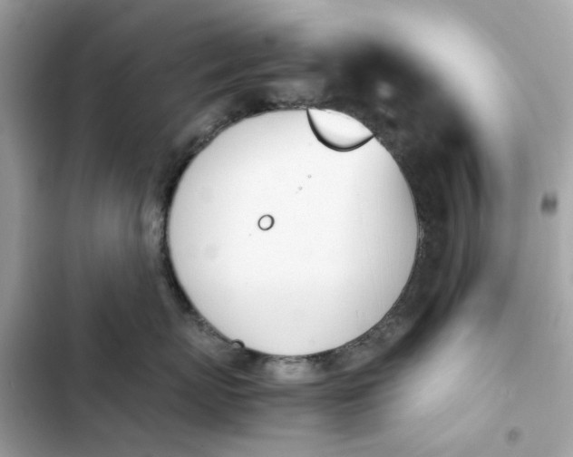 X0000102370767200808151835