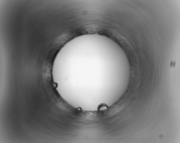 X0000102370768200808151835