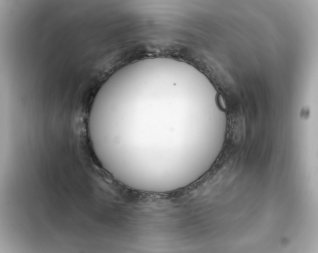 X0000102370770200808151834