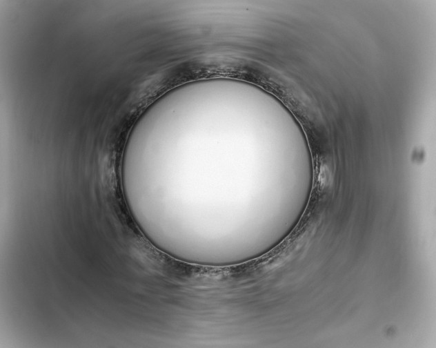 X0000102370771200808151834