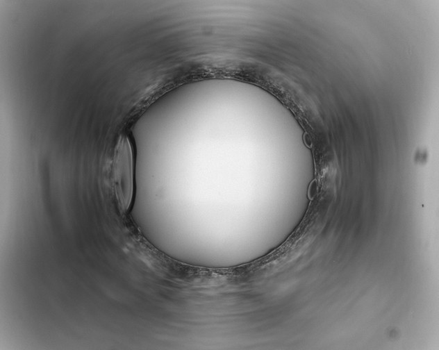 X0000102370772200808151834