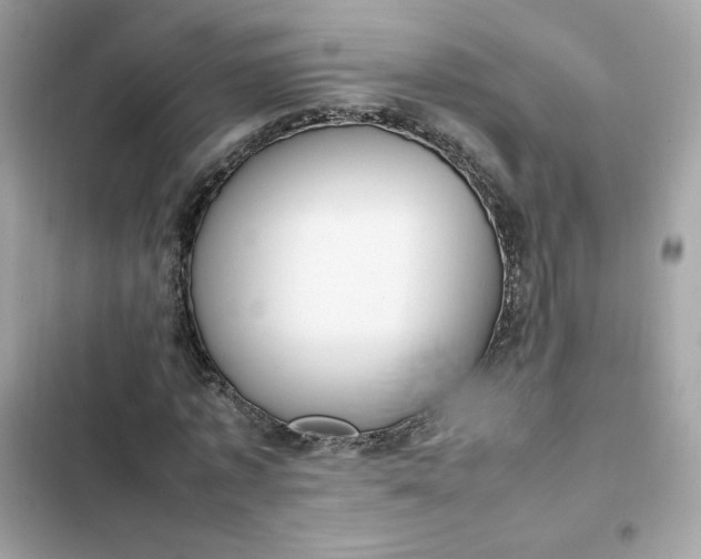 X0000102370773200808151834