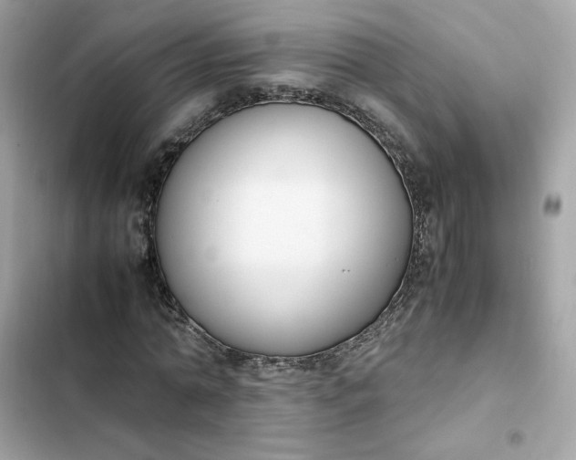 X0000102370774200808151834