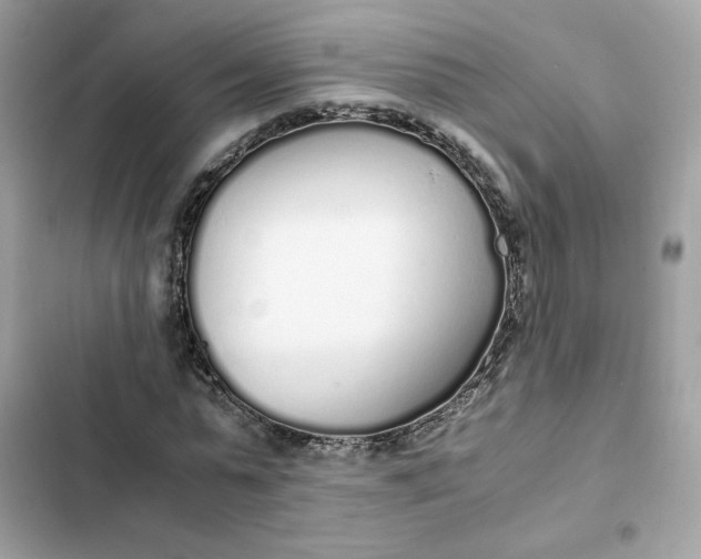 X0000102370775200808151834