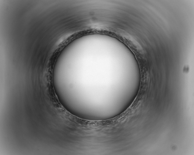 X0000102370776200808151834